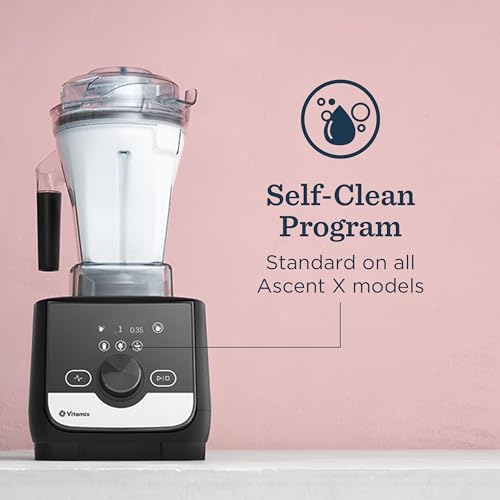 Professional Blender 48oz 3 Program Self-Clean