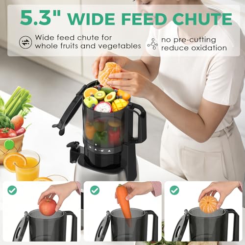 Cold Press Juicer Wide Feed Chute High Yield Easy Clean Home Kitchen