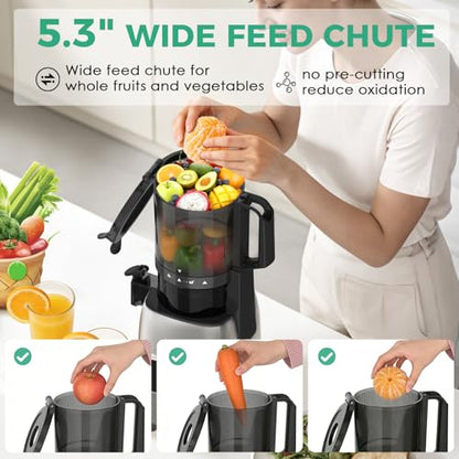 Cold Press Juicer Wide Feed Chute High Yield Easy Clean Home Kitchen
