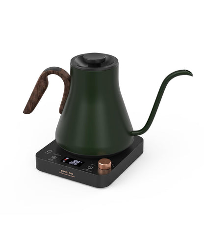 Gooseneck Electric Kettle 0.9L Temp Control Stainless