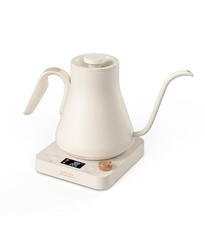Gooseneck Electric Kettle 0.9L Temp Control Stainless