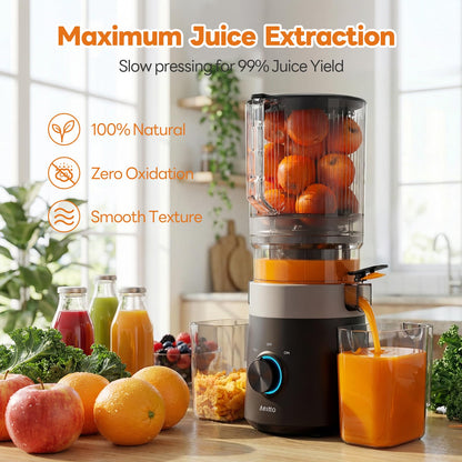Cold Press Juicer Nut Milk Sorbet High Yield Machine
