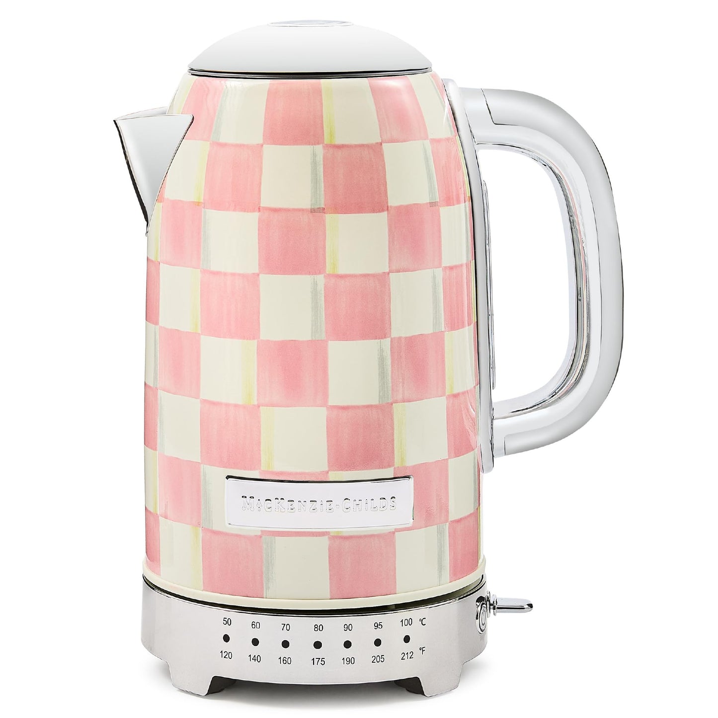 Stainless Steel Electric Tea Kettle