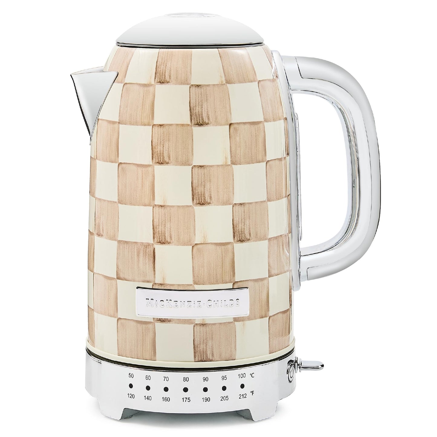 Stainless Steel Electric Tea Kettle