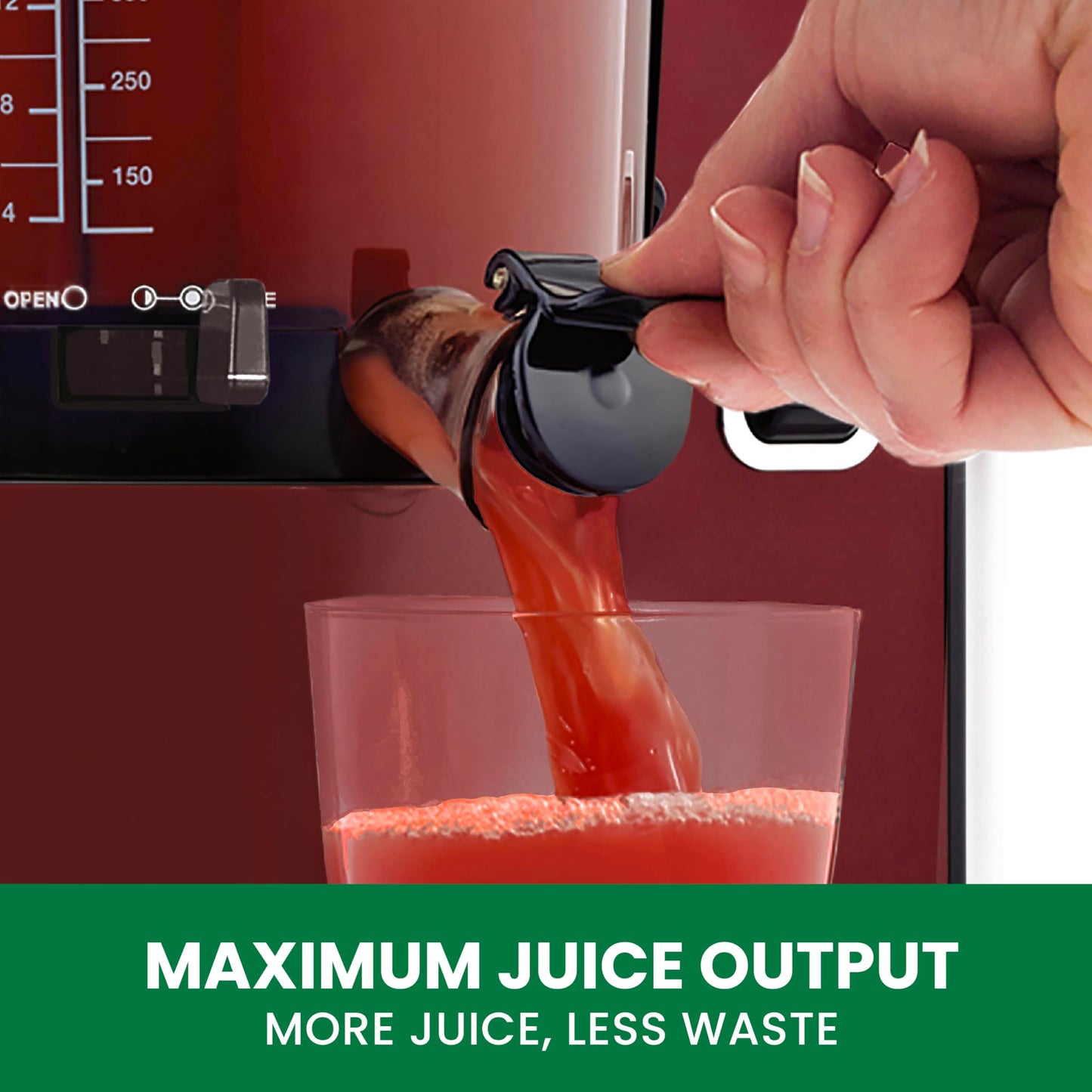 Omega Vertical Slow Masticating Juicer