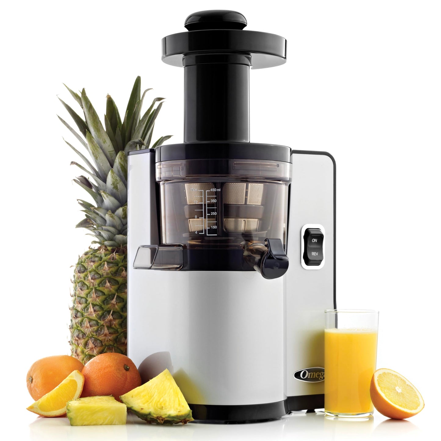 Omega Vertical Slow Masticating Juicer