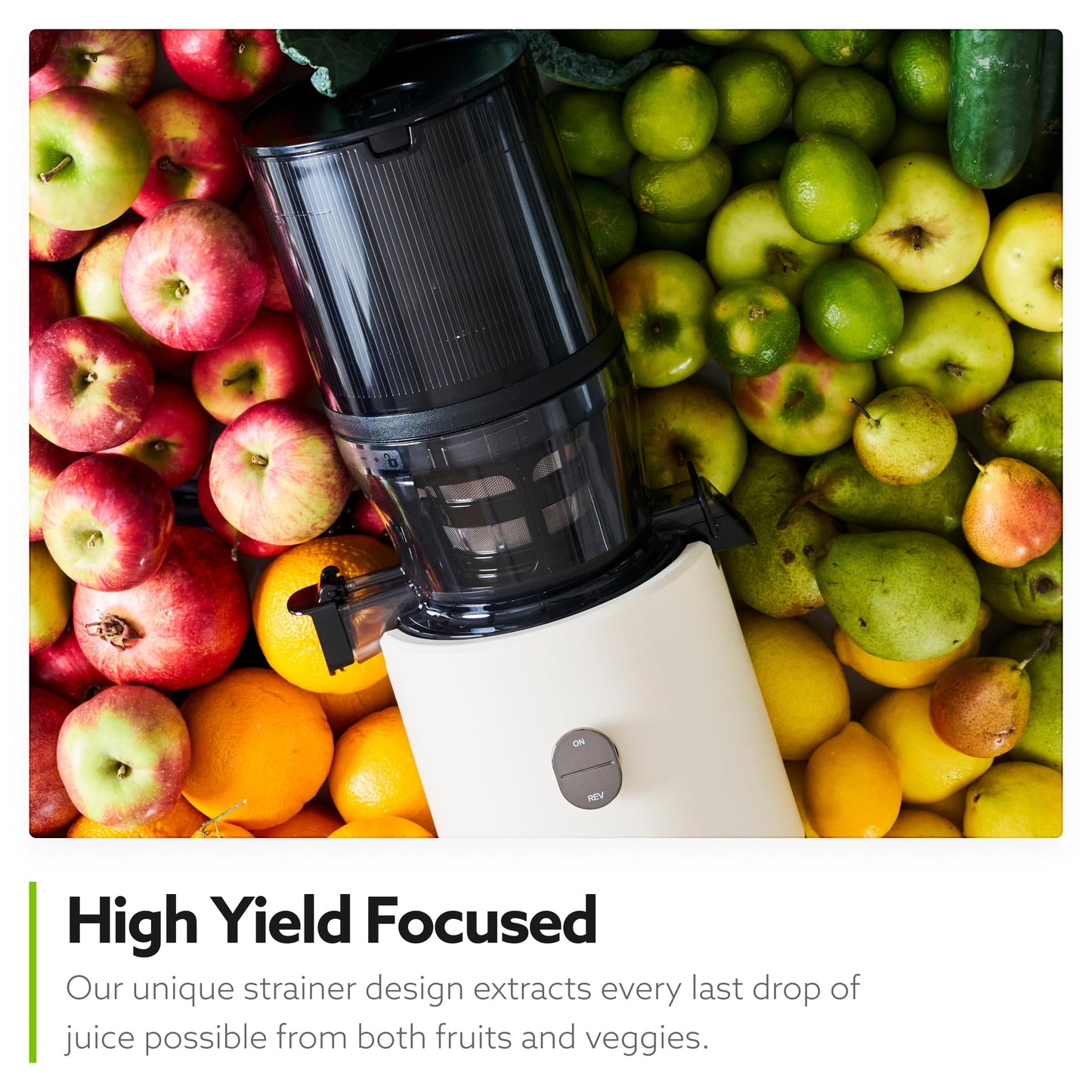 Cold Press Juicer Self-Feeding Slow BPA-Free Quiet