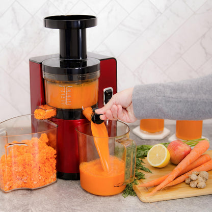 Omega Vertical Slow Masticating Juicer