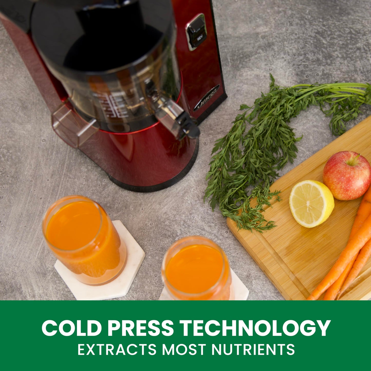Omega Vertical Slow Masticating Juicer